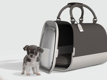 Small Pet Carrier Walmart - Discover the Perfect Partner for Your Adorable Companion