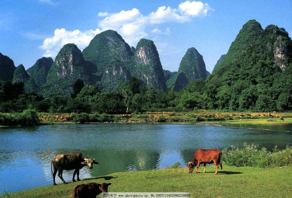 CNN网络的层级结构及其相关作用