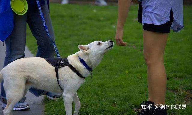 这个行为有什么意思? - 知乎
