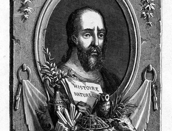 老普林尼(去世于公元 79 年)曾警告道:"一个女人,如果在来月经时将