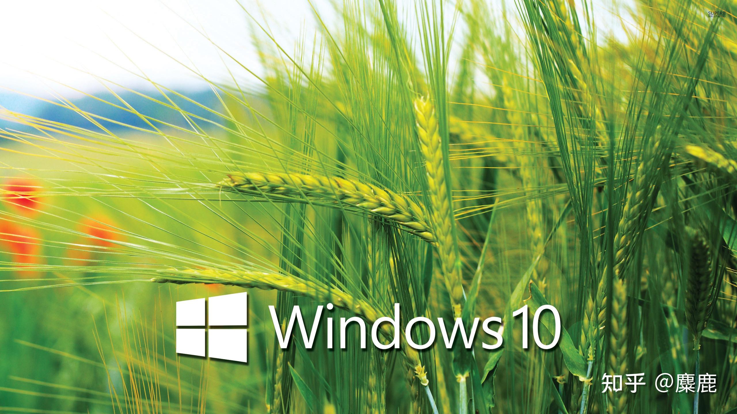 开机进不了桌面，电脑开机进不了桌面