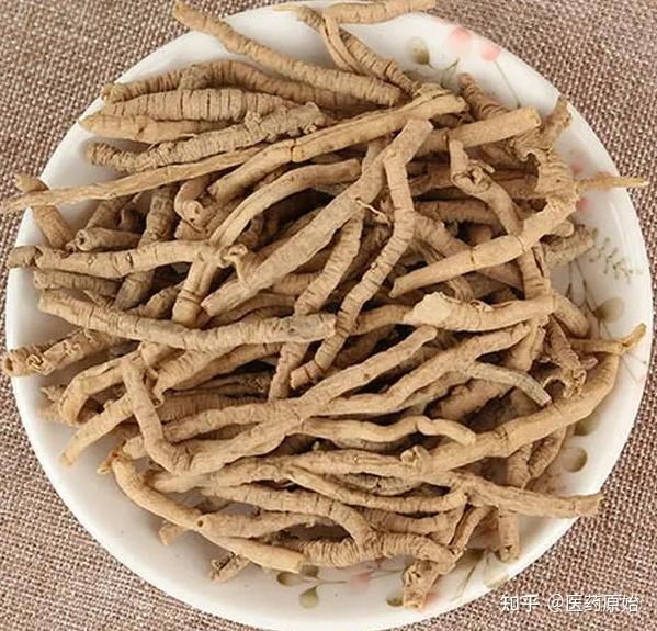 带你识别远志 - 知乎