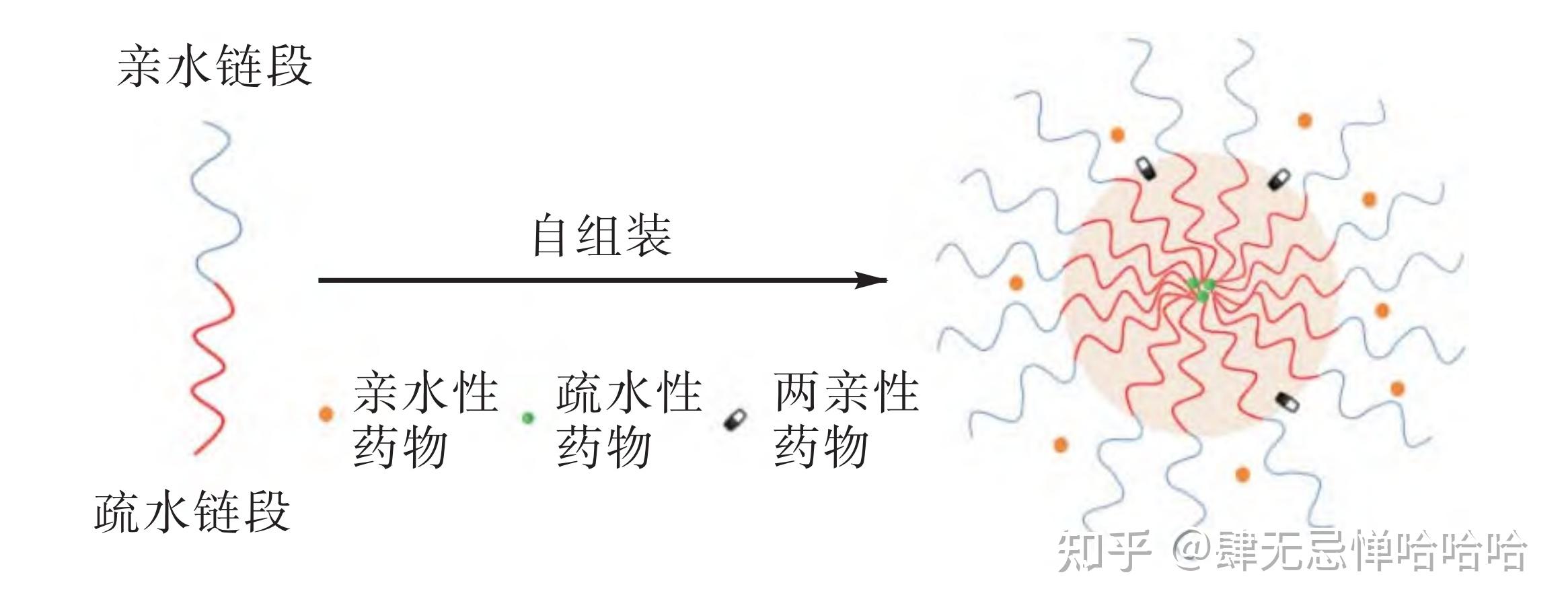 胶束在药物中的应用 - 知乎