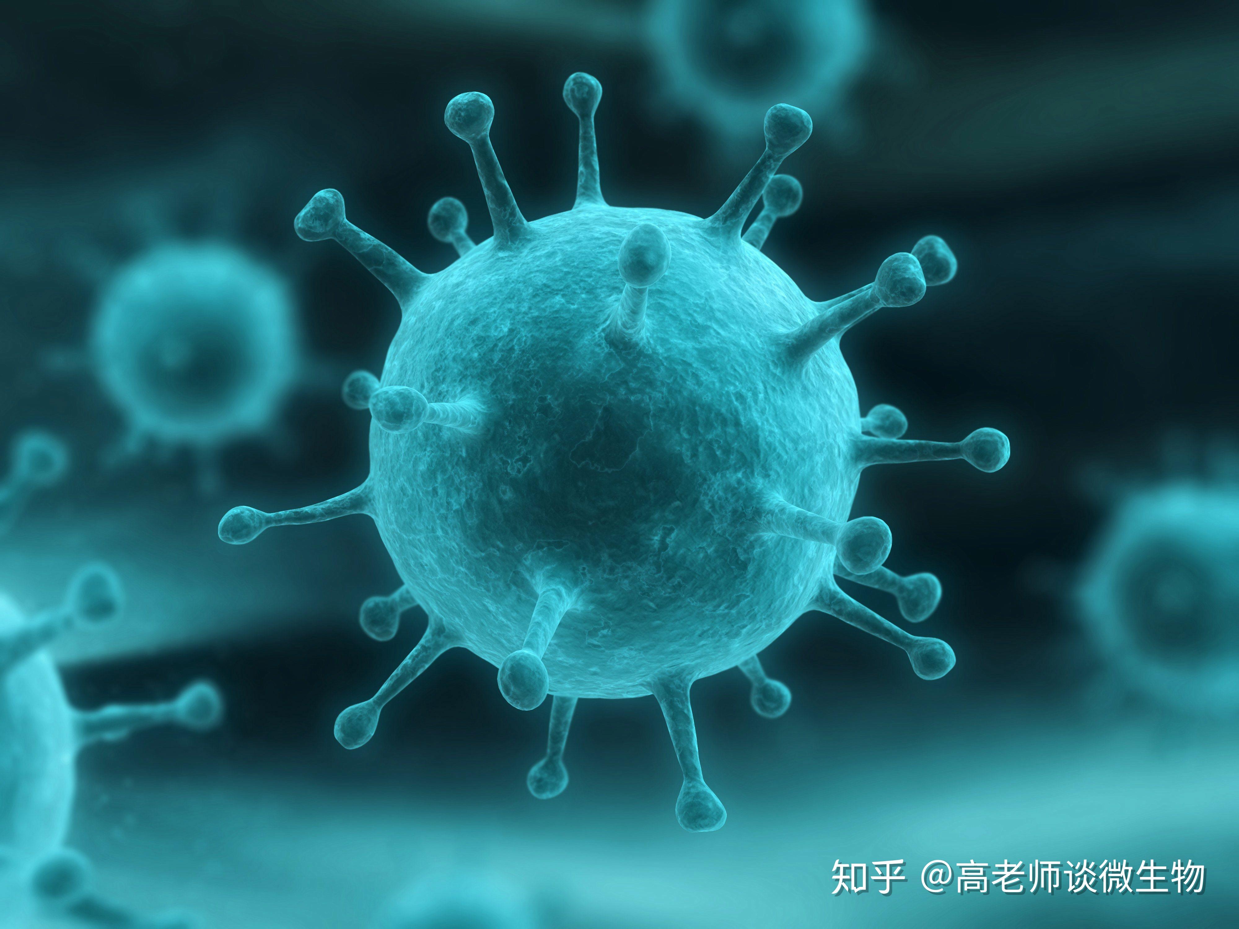 1.非细胞型微生物 是最小的一类微生物.