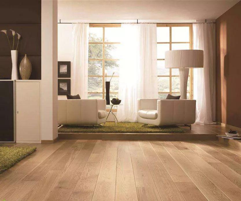 寒风起,冬渐深,amilire亚美利加携合作品牌tree and elephant 美洲象