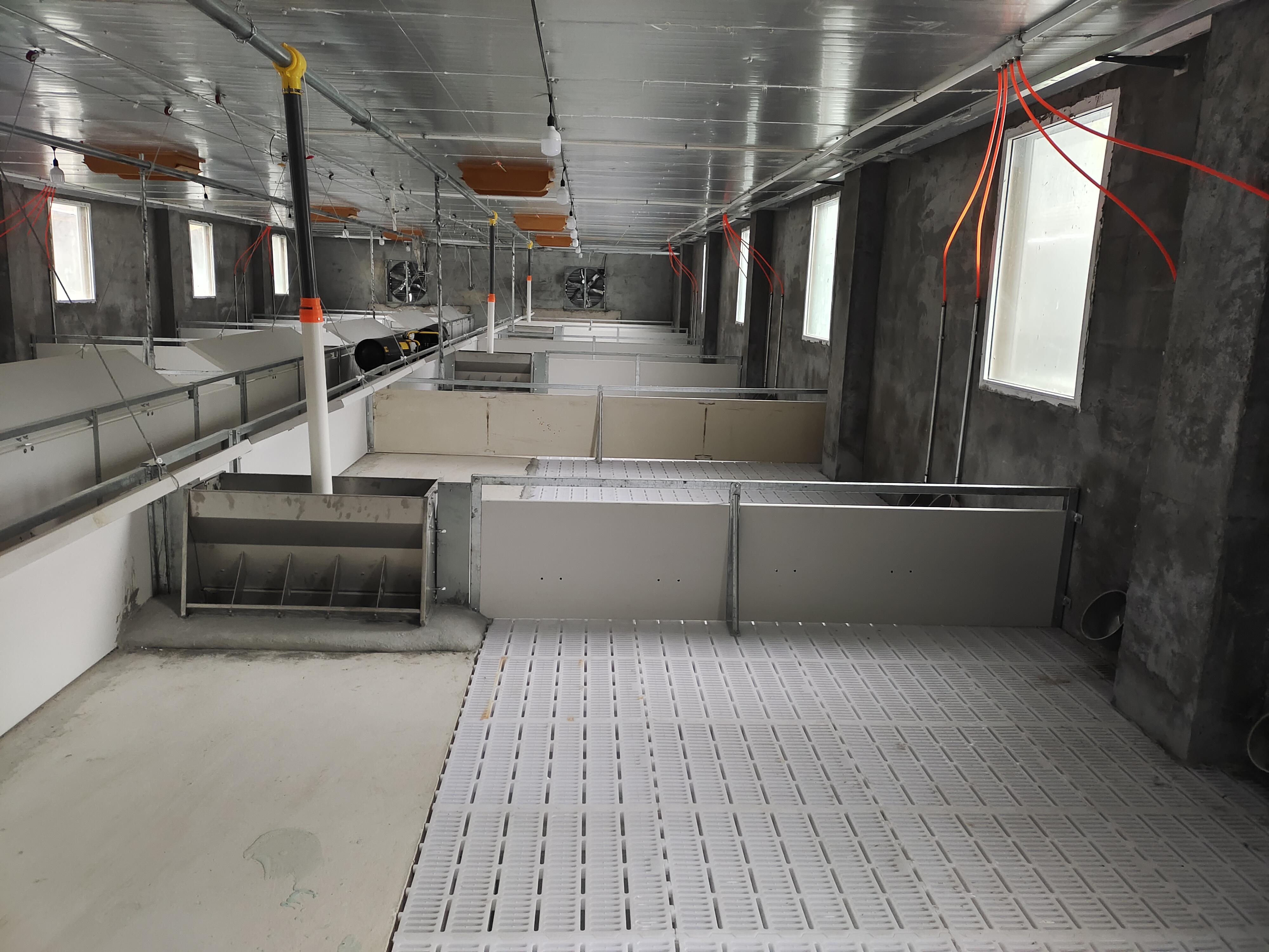 在猪场洗消的日子七闲暇生活向兄故事引种押车公司的职务与职级划分