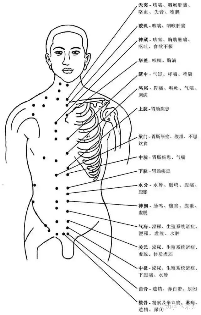 全身的准确位置图图片