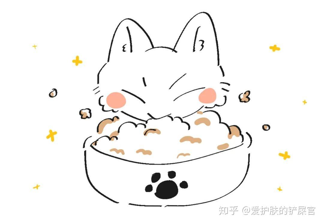 猫咪饮食注意事项认知酸化猫粮