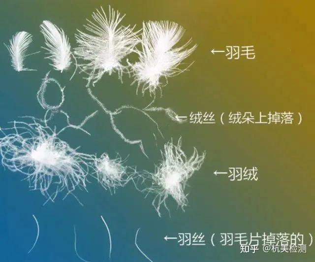 提示丨“含绒量”变为“绒子含量”代表着什么？两者有何区别？ - 知乎