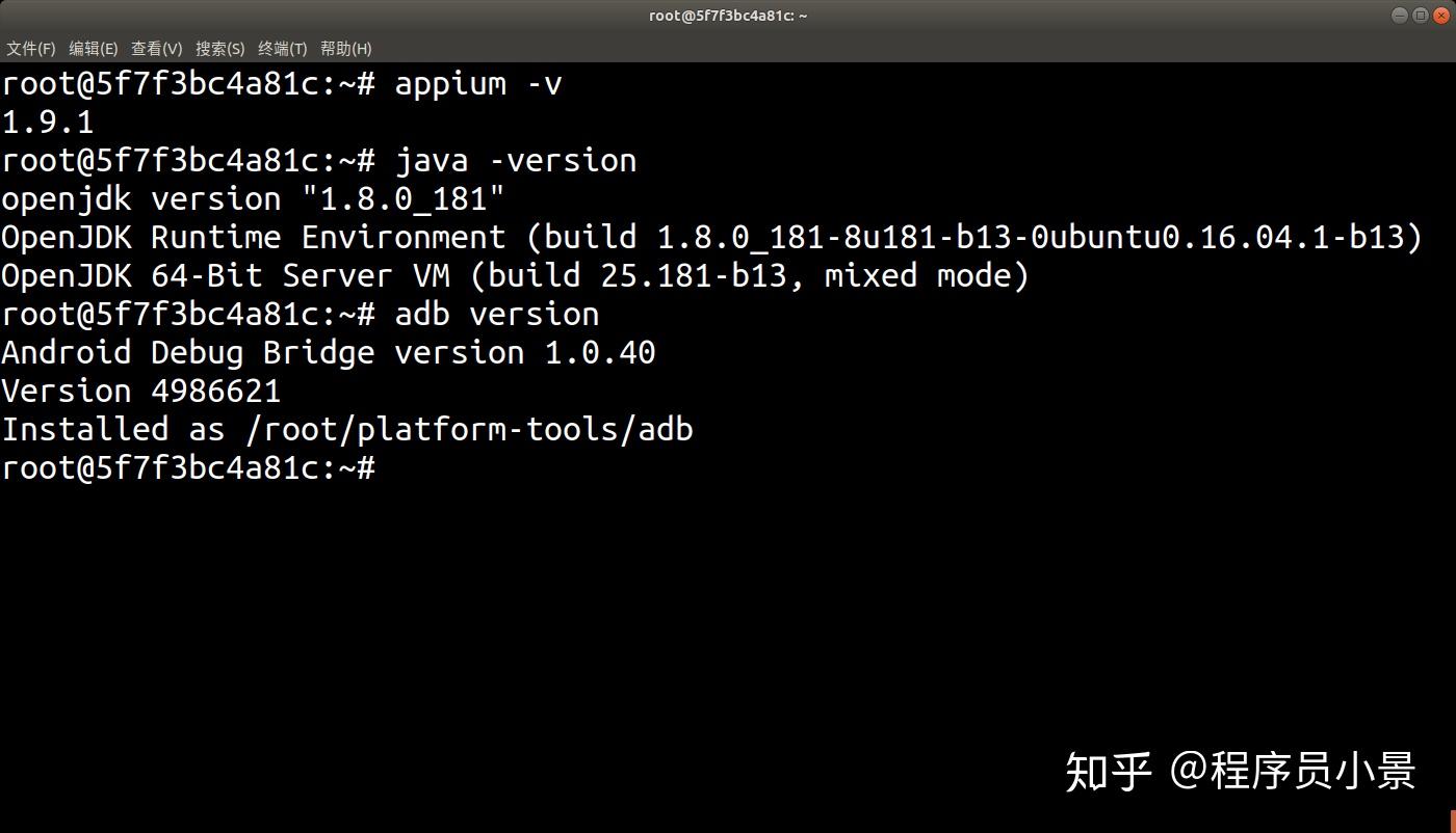 Docker Appium docker appium