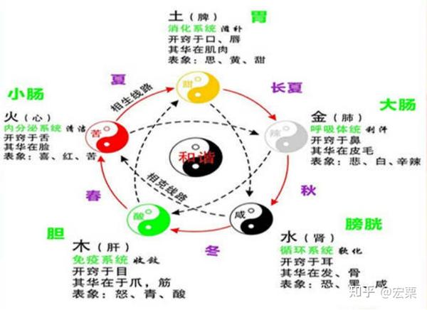 十天干代表身体部位 - 知乎