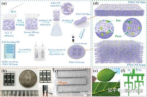 《AFM》超级电容器:自然启发的互连大孔/介孔/微孔MXene电极 - 知乎