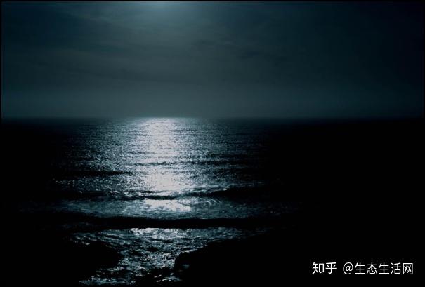 就说明自己并没有处于一片漆黑的环境中,黑夜恐惧症患者自然不会害怕