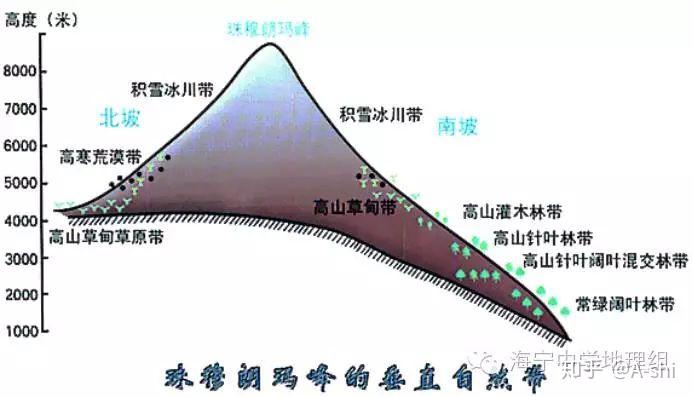 山麓(山脚处)地区的自然带称为基带.
