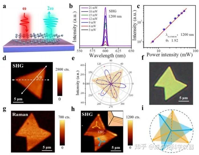 由兩個晶疇組成的納米片的光學圖像,拉曼成像和shg成像,h中插圖為晶界