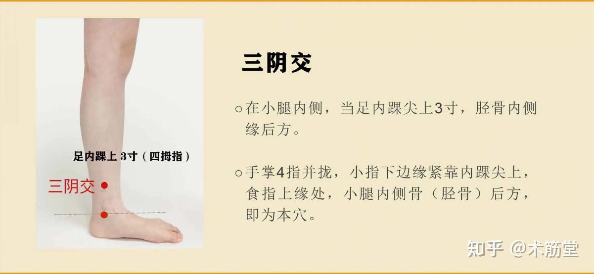 三阴交位置和作用具体如下