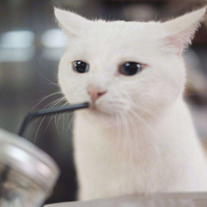 循证