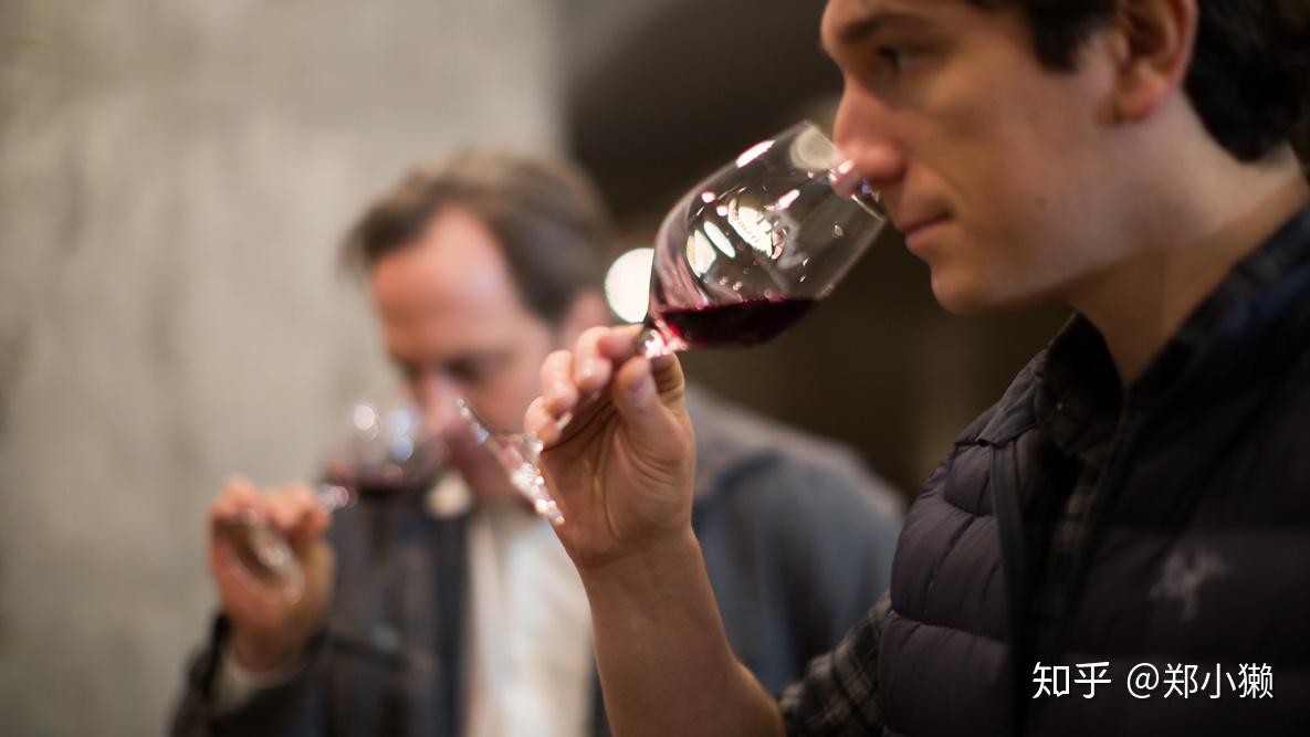怎么在饭局上简单又专业地描述红酒香气