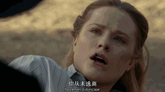 110张gif图带你回顾西部世界第一季讲了啥附脑图剧情分析