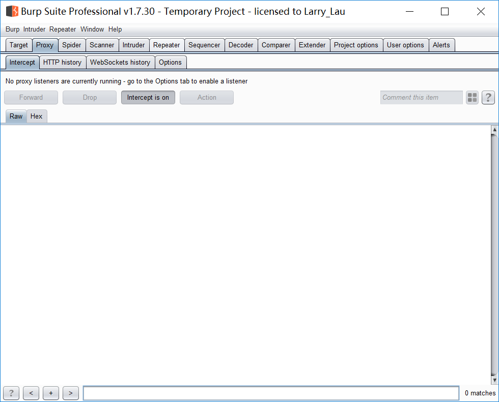 127.0.0.1 8081 Localhost