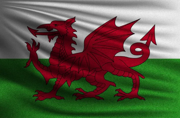 威尔士旗帜上的动物图片