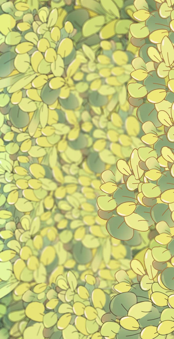 极富美感的绿色系壁纸(无水印)(绿色壁纸唯美可爱)