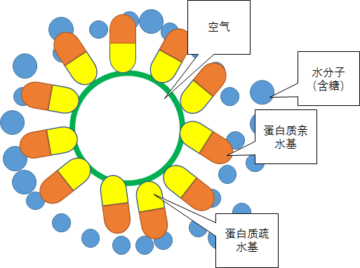 蛋清打发原理是什么_蛋清打发图片(2)