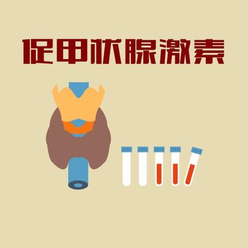 促甲状腺激素tsh是什么意思