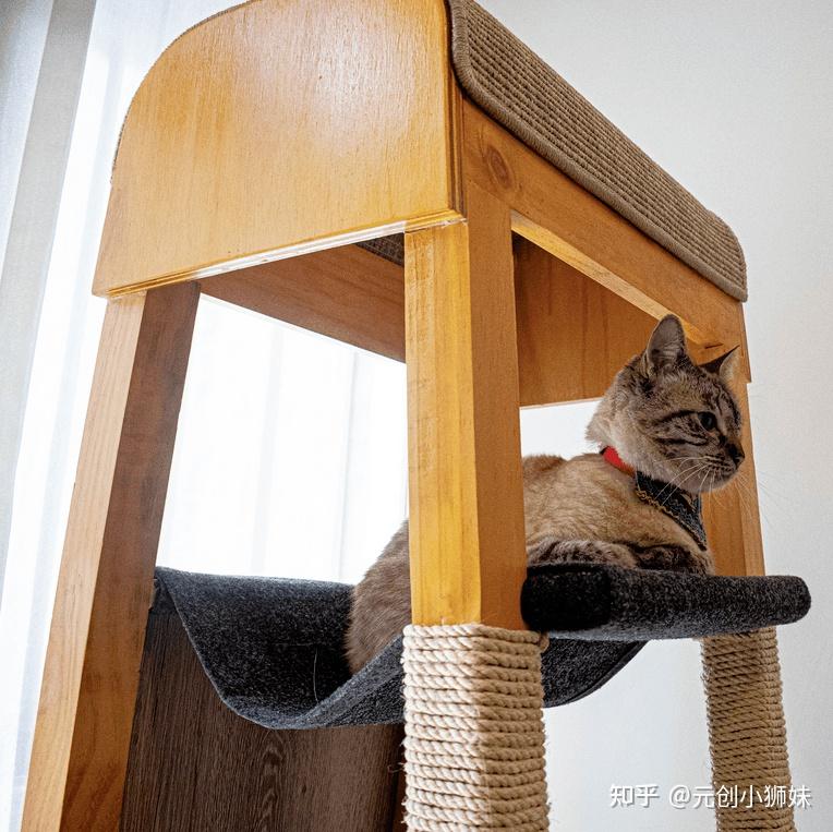 铲屎官们请注意!10款喵喵都说“nice”的猫爬架设计案例分享 - 知乎