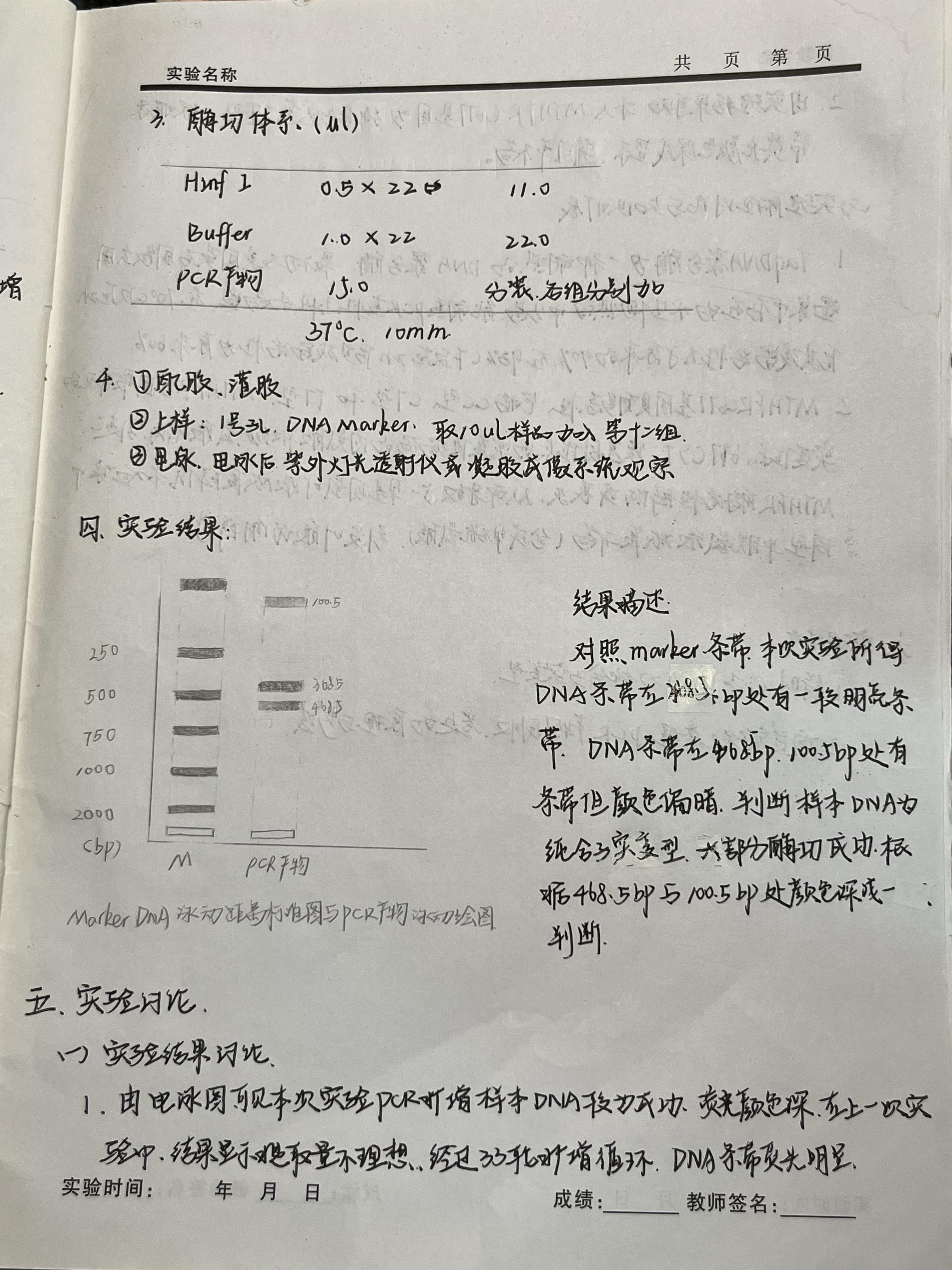 Google Translate