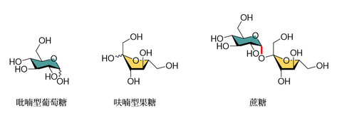 蔗糖是由一分子吡喃型葡萄糖和一分子呋喃型果糖构成的二糖,其中葡萄