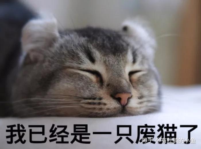 v2-152beb7d120d4c70781d5ee8db8fb303_r.jpg