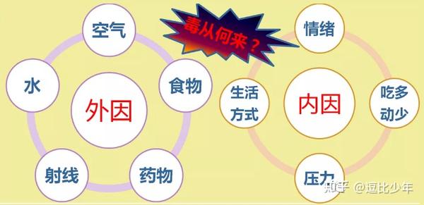 人体八毒——汗、痰、水、尿、血、气、便、脂,如何排毒? - 知乎