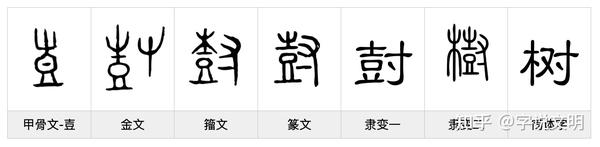 尌——每日一字·壴部字 - 知乎
