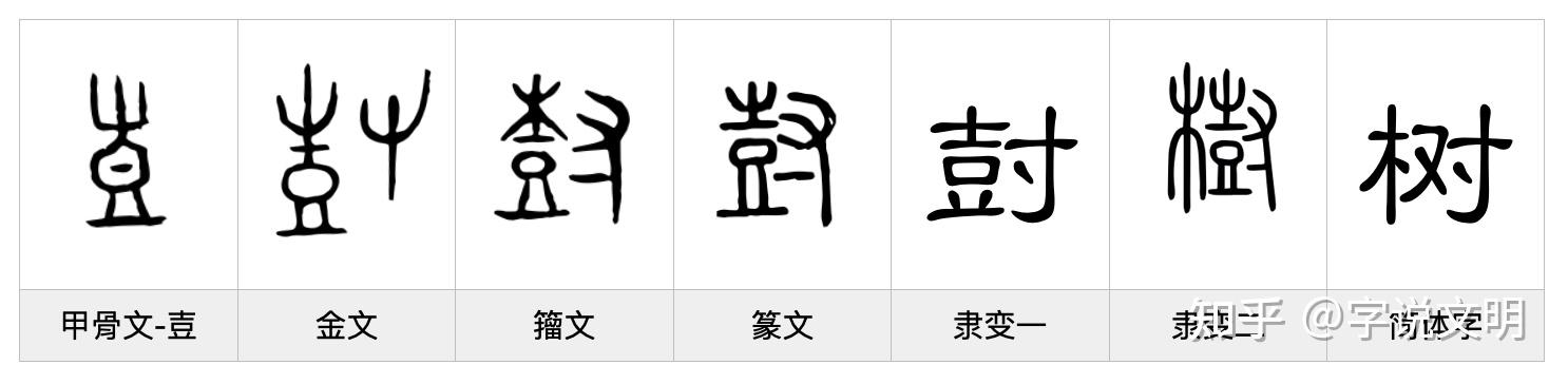 尌——每日一字·壴部字 - 知乎
