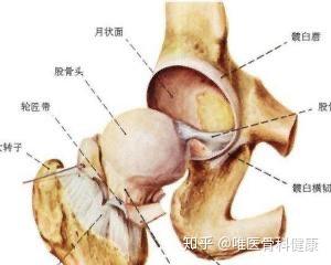 骨科医生 不是吓唬人 有种骨折会死人 知乎