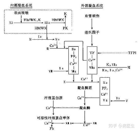 virchow三角图片