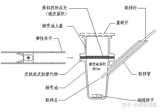 目前最常用的检测化妆品成分透皮吸收的体外方法是扩散池法.
