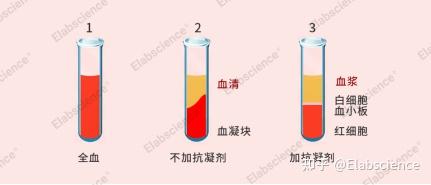 ELISA指标检测样本如何选?血清or血浆? - 知乎