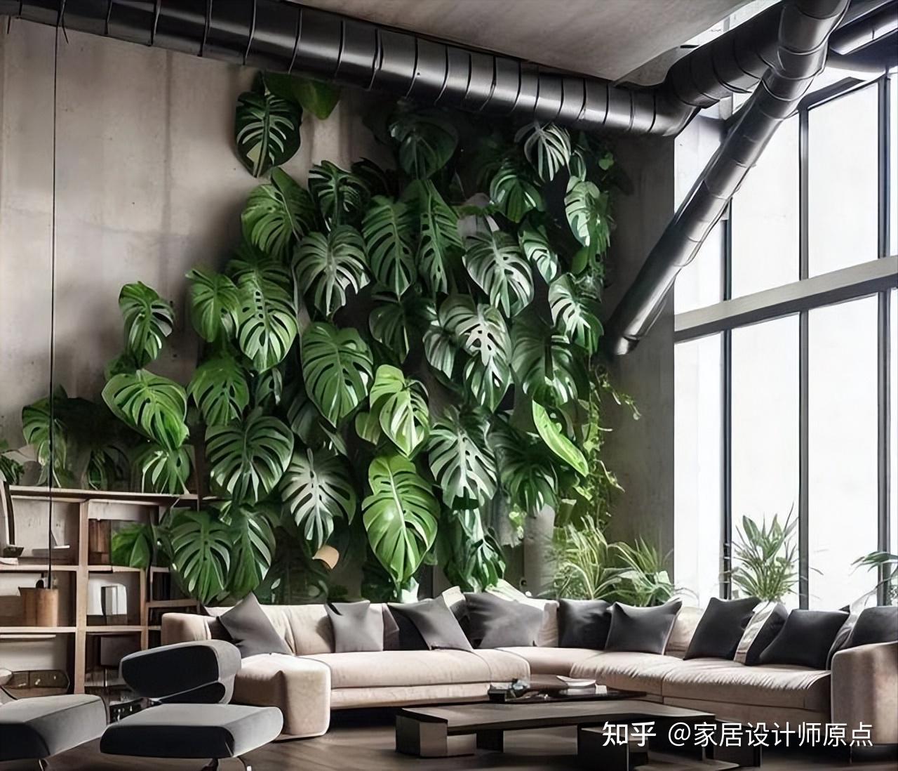 【龟背竹客厅】