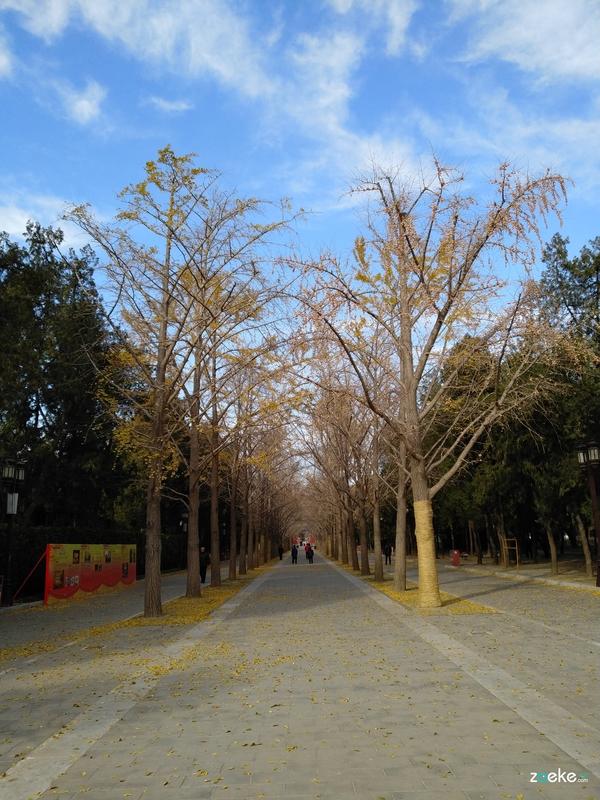 锤子Smartisan 坚果Pro2的拍照质量到底怎么样