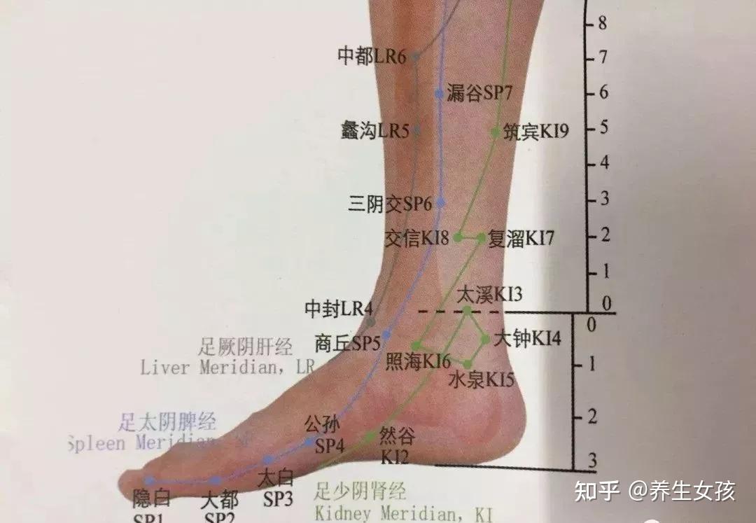 照海穴,大鐘穴足太陰脾經的商丘穴你