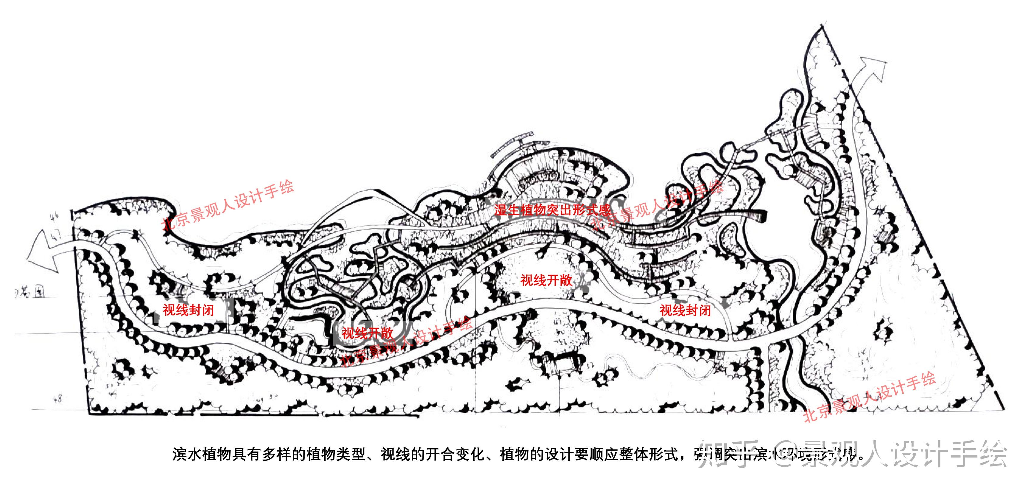 行道树种植设计平面图图片