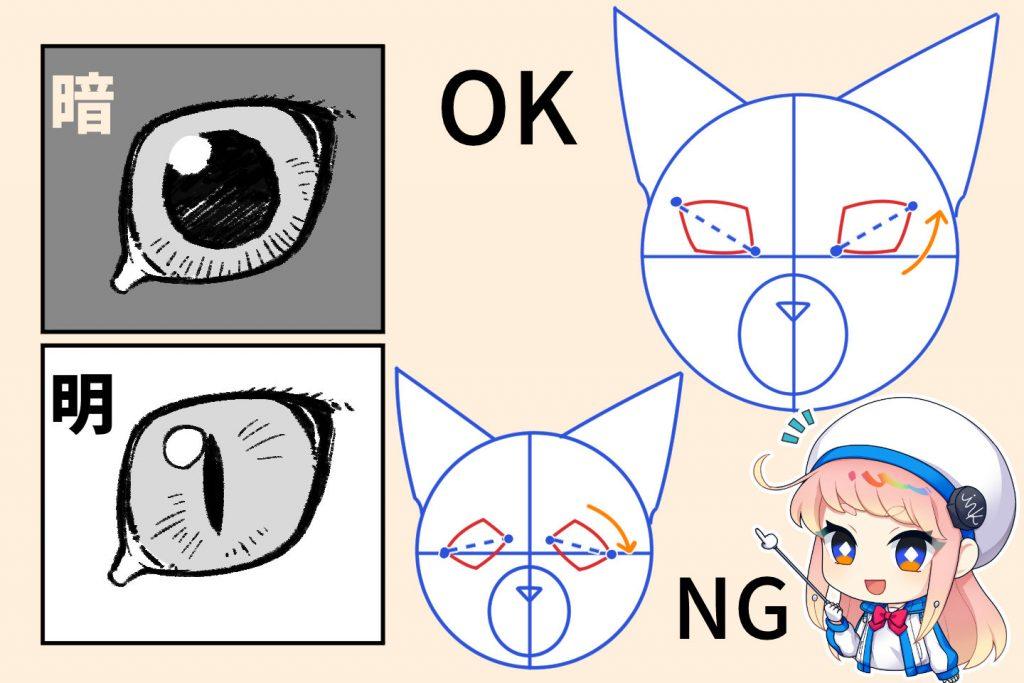 猫眼睛特点的画法