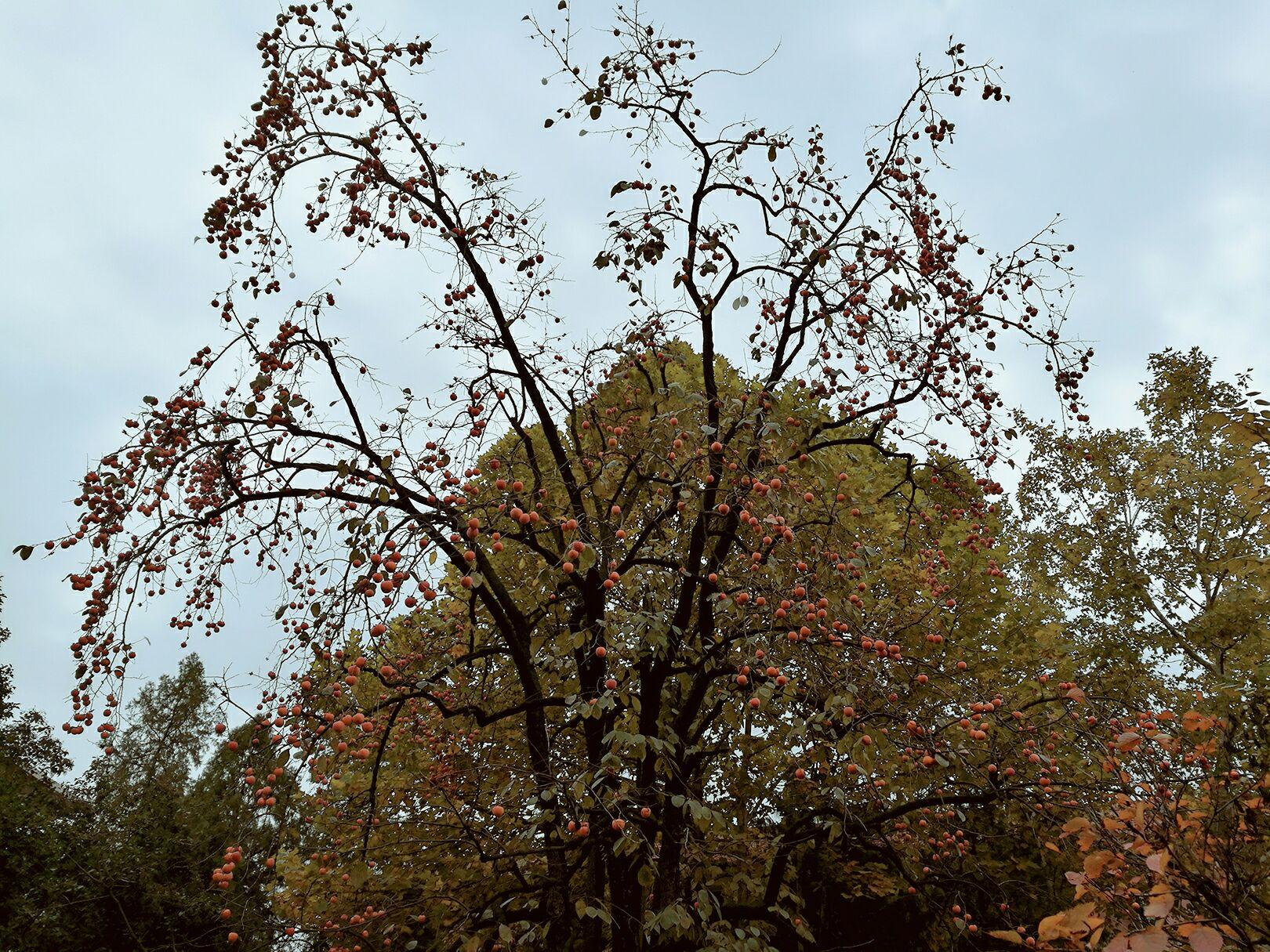 跟我讲讲你高考之前奋斗的故事吧 和你现在对