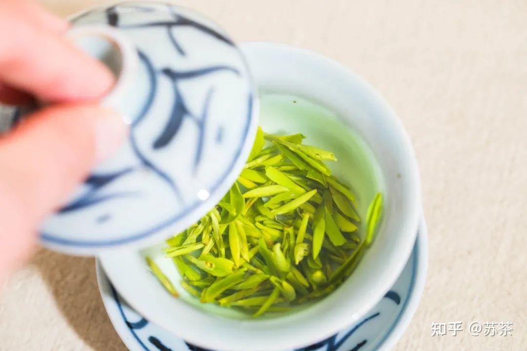 这10条春茶常识大多数人不一定都明白
