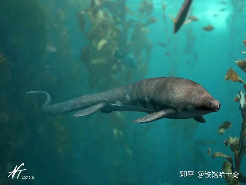 去安徽捉巢湖龙