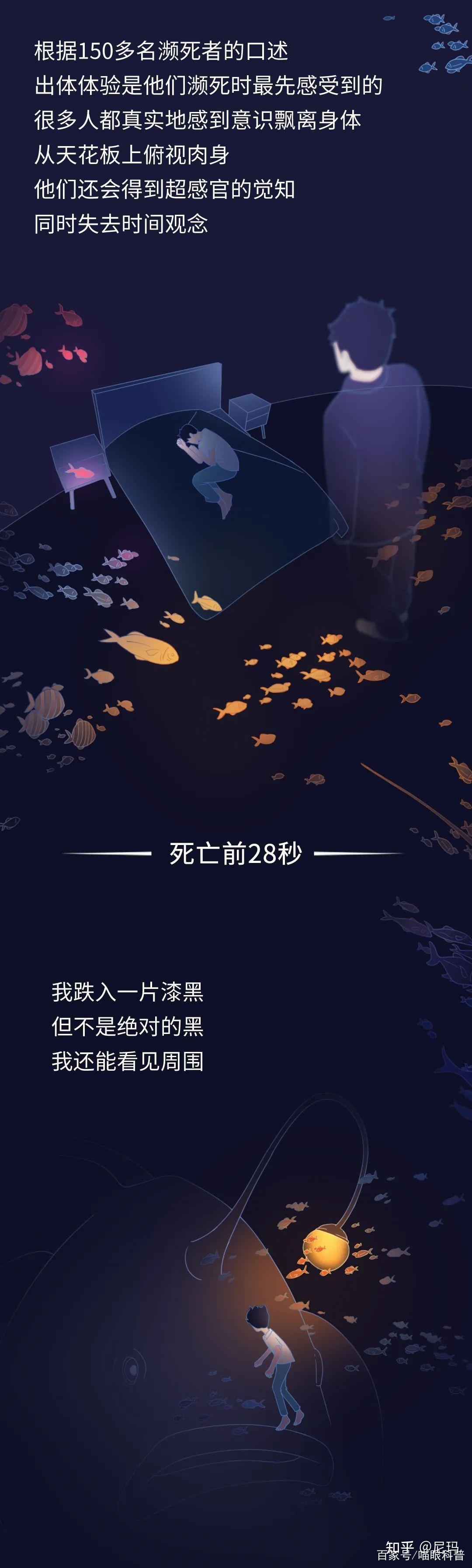 死亡前的30秒,人会“看见”什么?一组漫画科普,亲历者给出答案 - 知乎