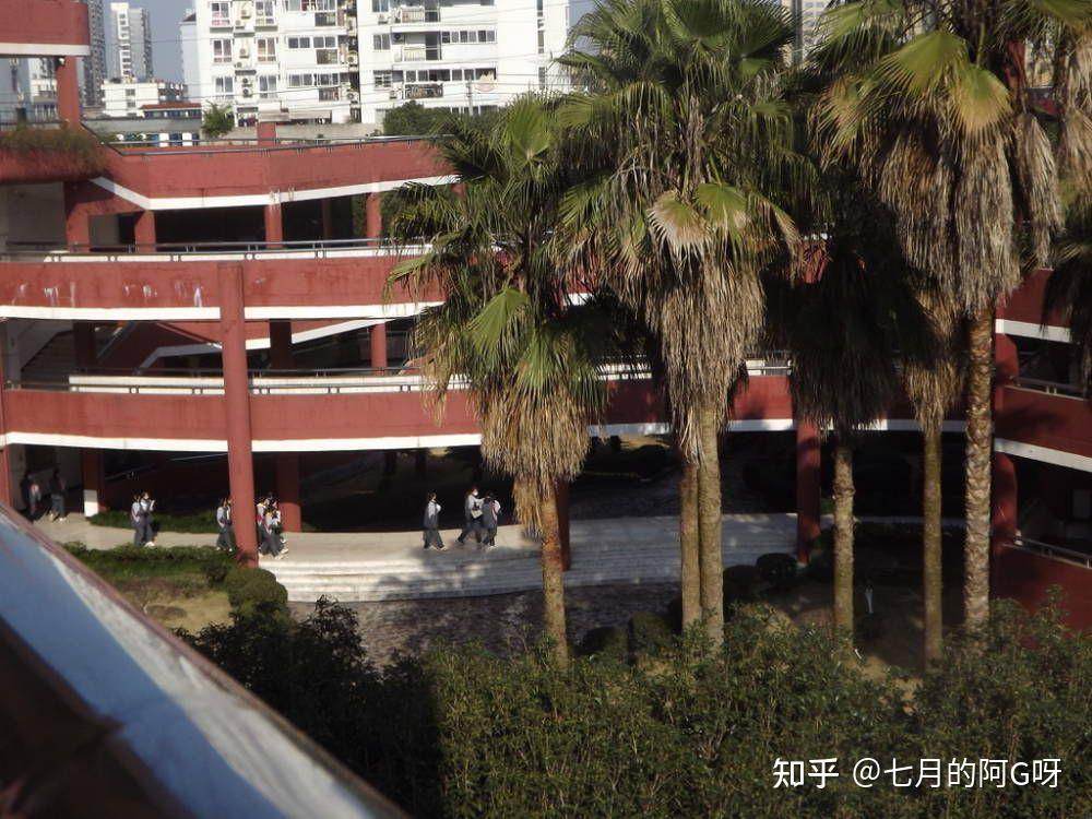 灵溪‖二高‖ - 知乎