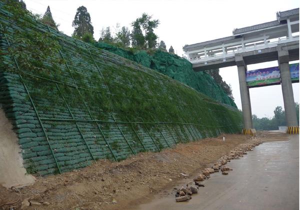 植生袋护坡每平米单价格 - 知乎